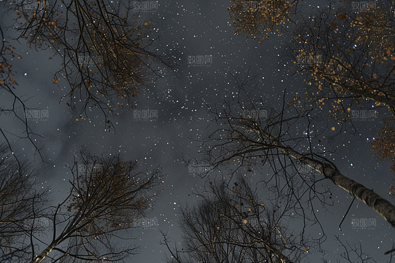 灿烂星空唯美夜景素材