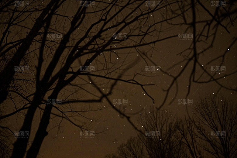 灿烂星空夜晚梦幻素材