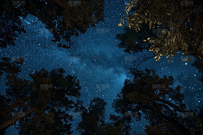 灿烂星空唯美夜景素材