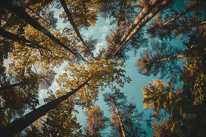 灿烂星空高清浪漫素材