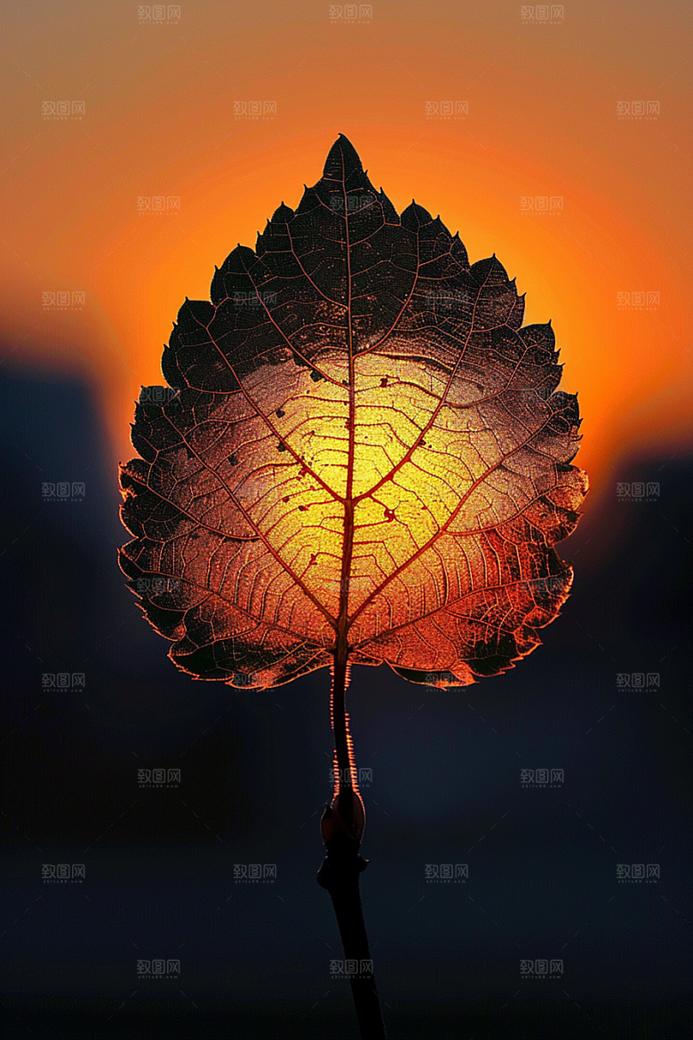落日风光余晖夕阳素材