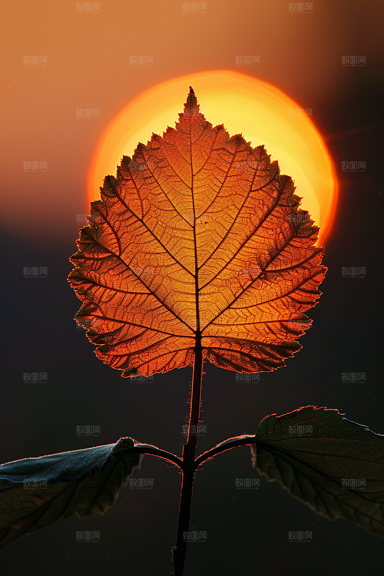 落日风光美景夕阳素材