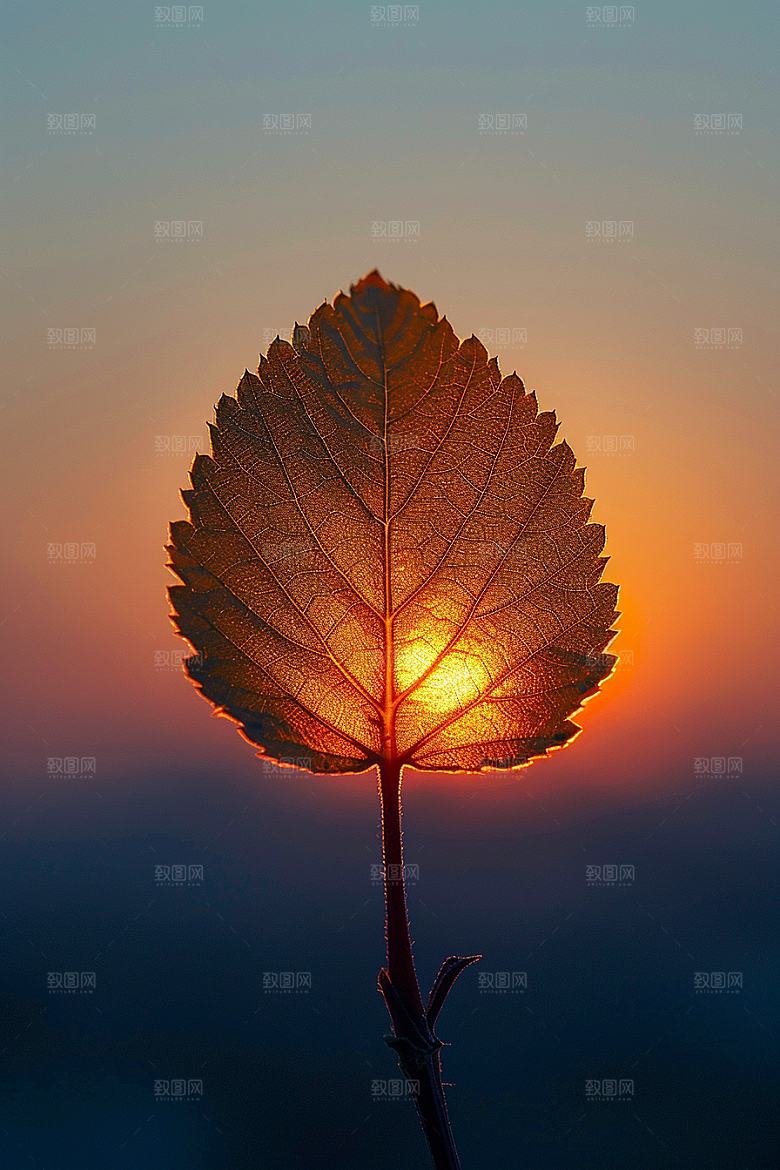 落日风光夕阳晚霞素材