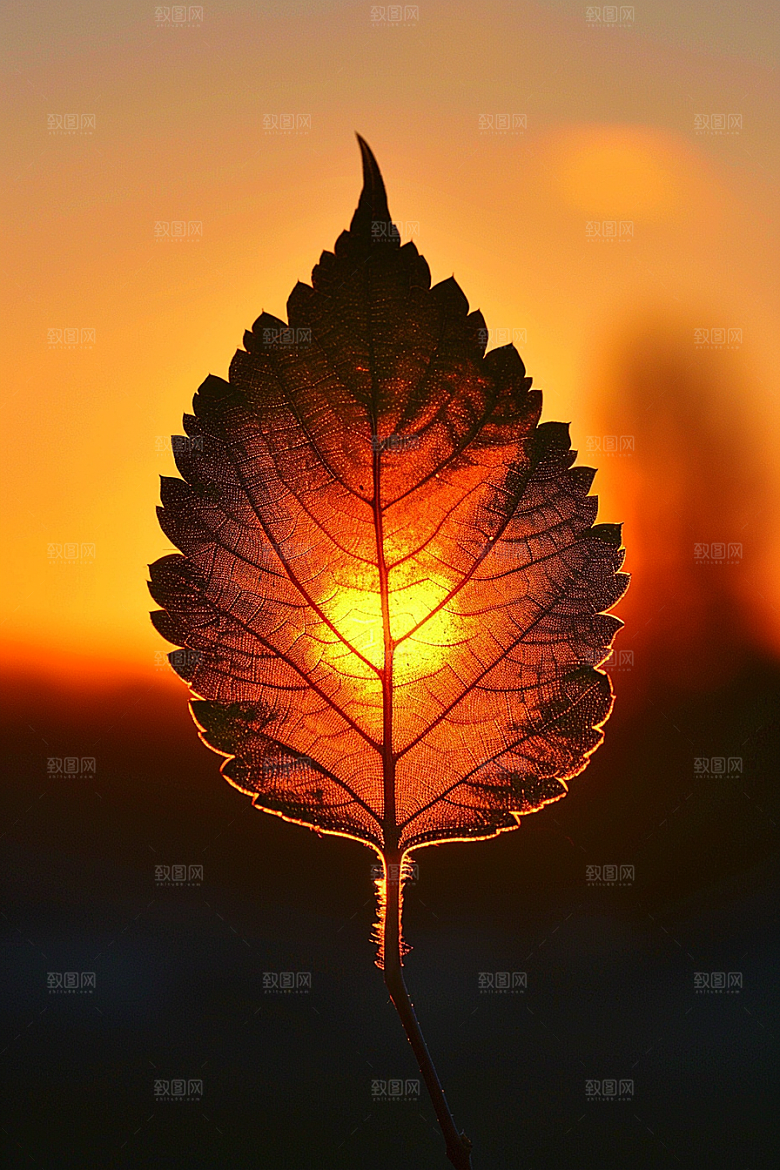 落日风光美景夕阳素材