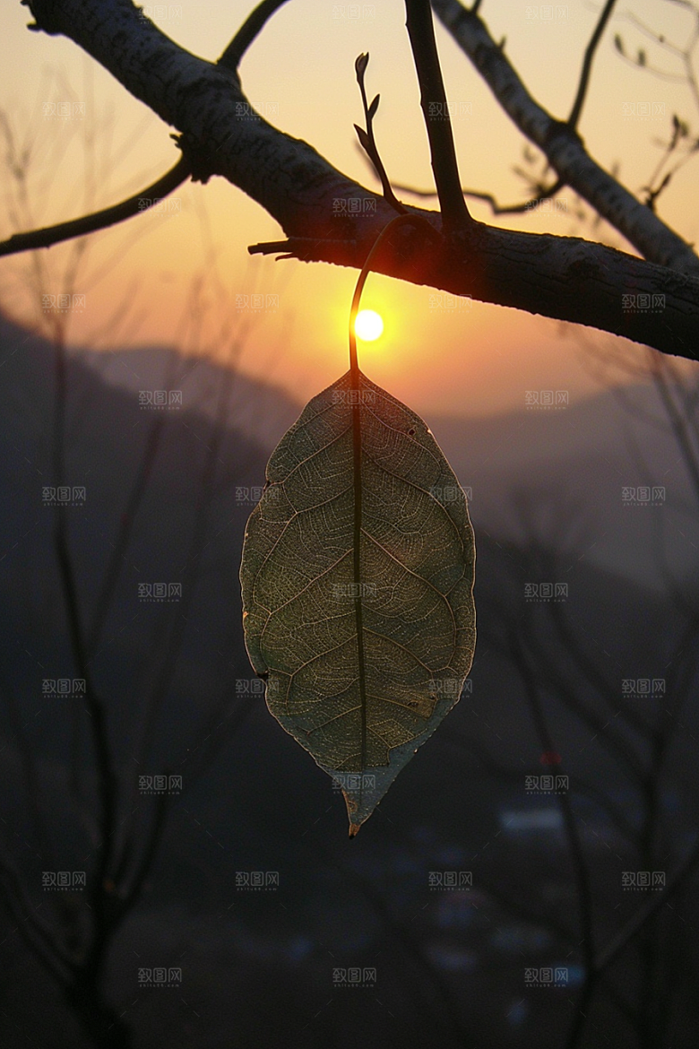 落日风光风景自然素材