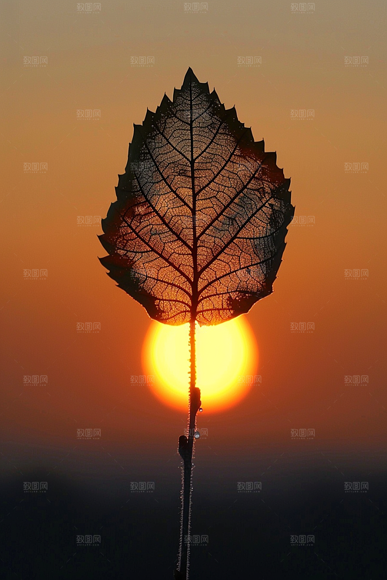落日风光美景景色素材