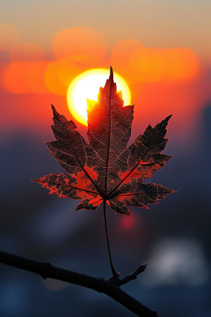落日风光余晖高清素材