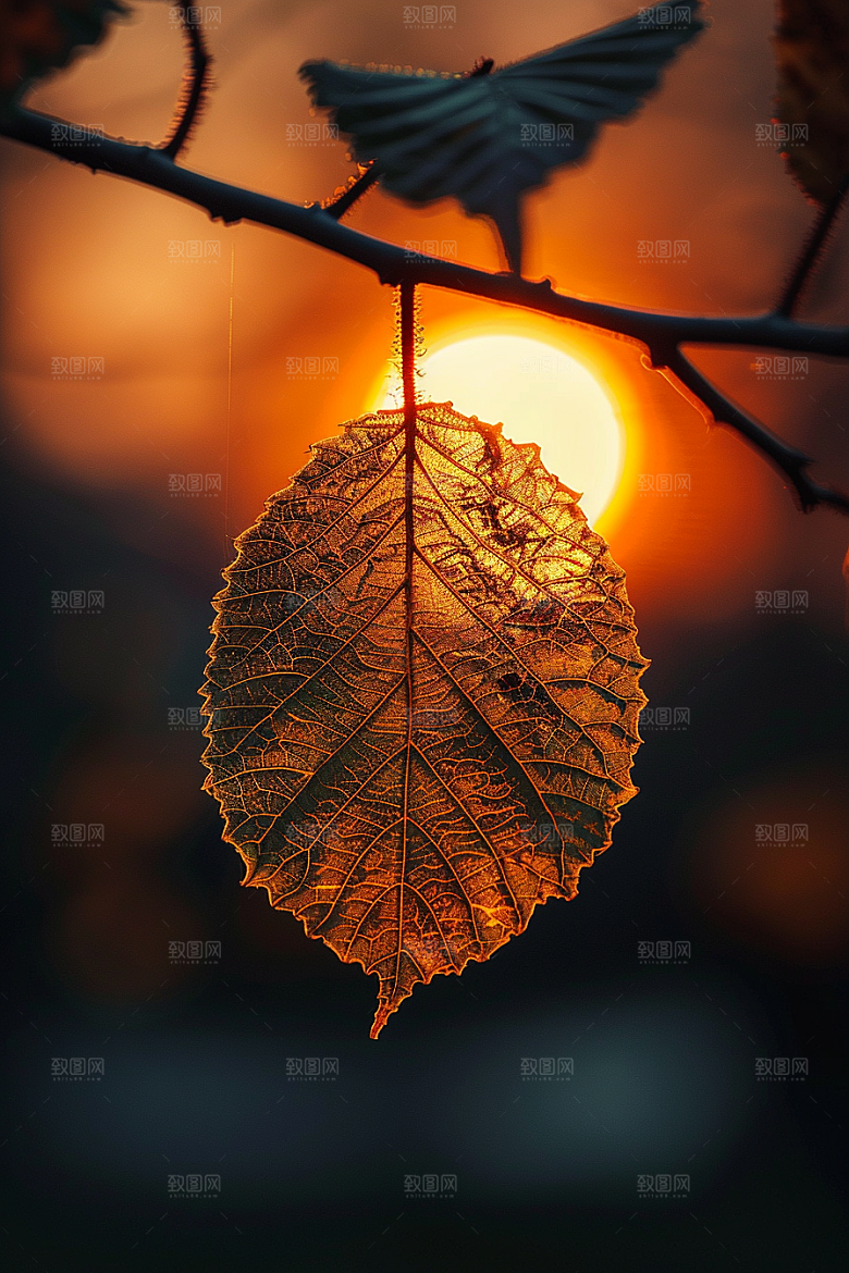 落日风光余晖夕阳素材