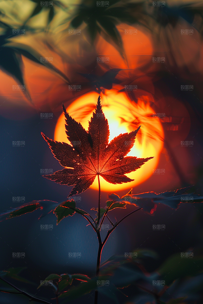 落日风光余晖傍晚素材