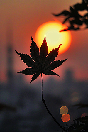 落日风光美景户外素材