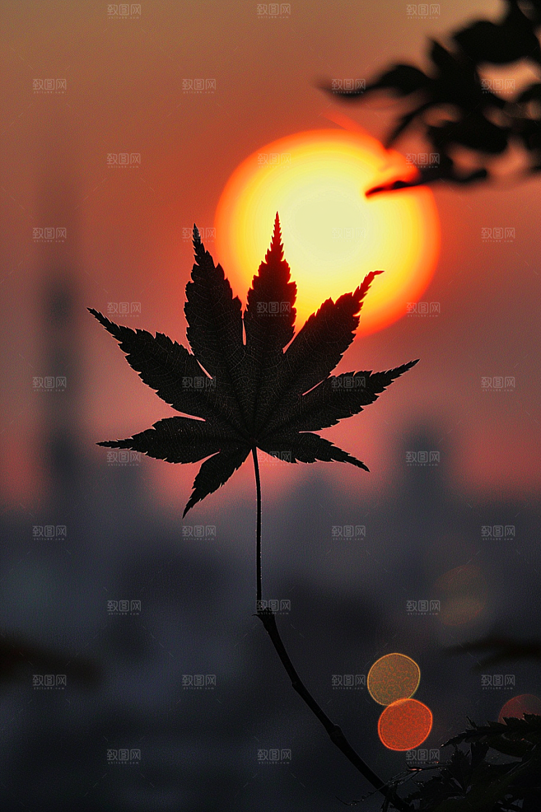 落日风光美景户外素材
