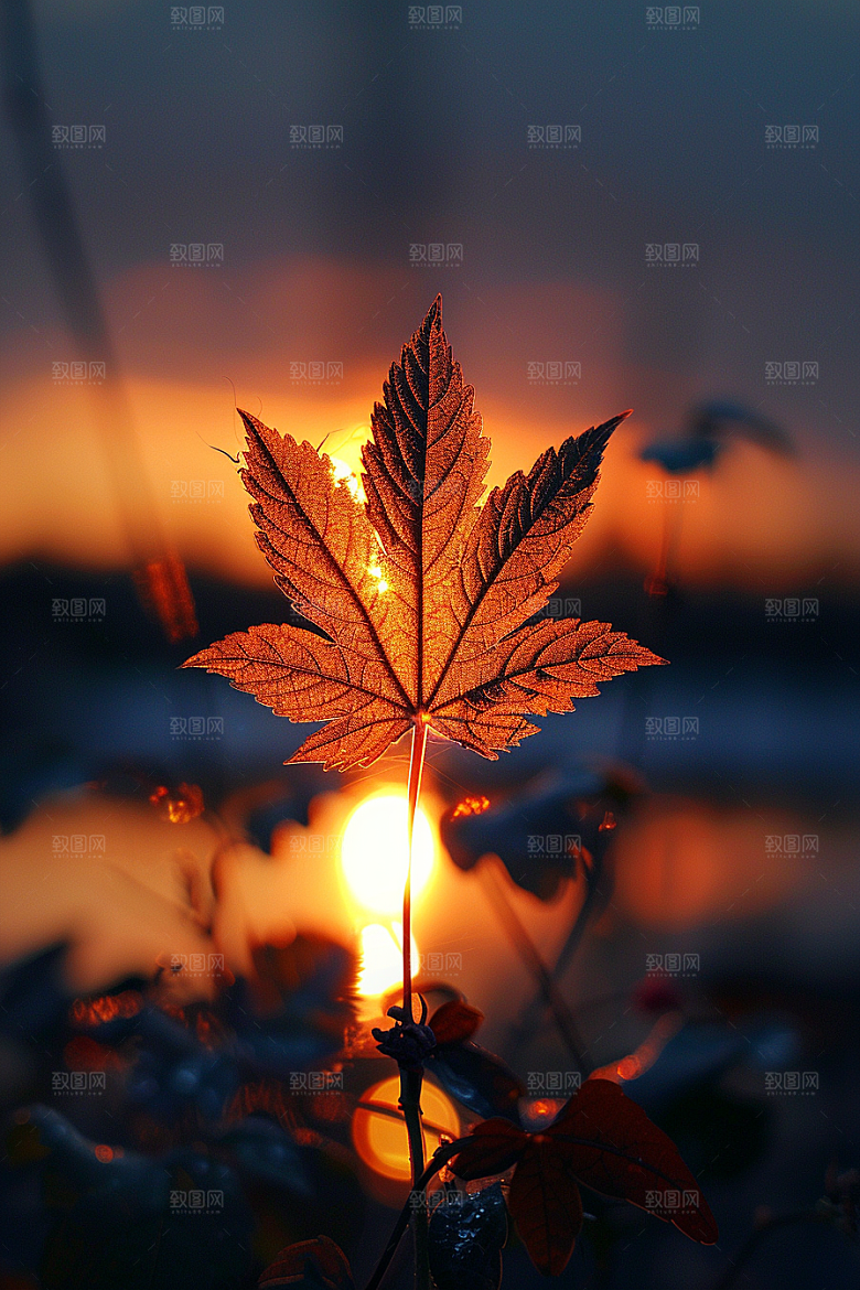 落日风光景色夕阳素材