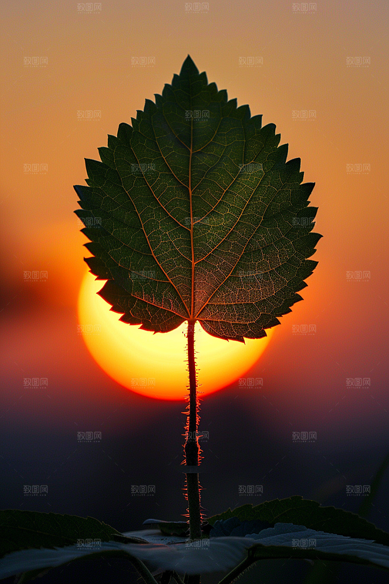 落日风光景色美景素材