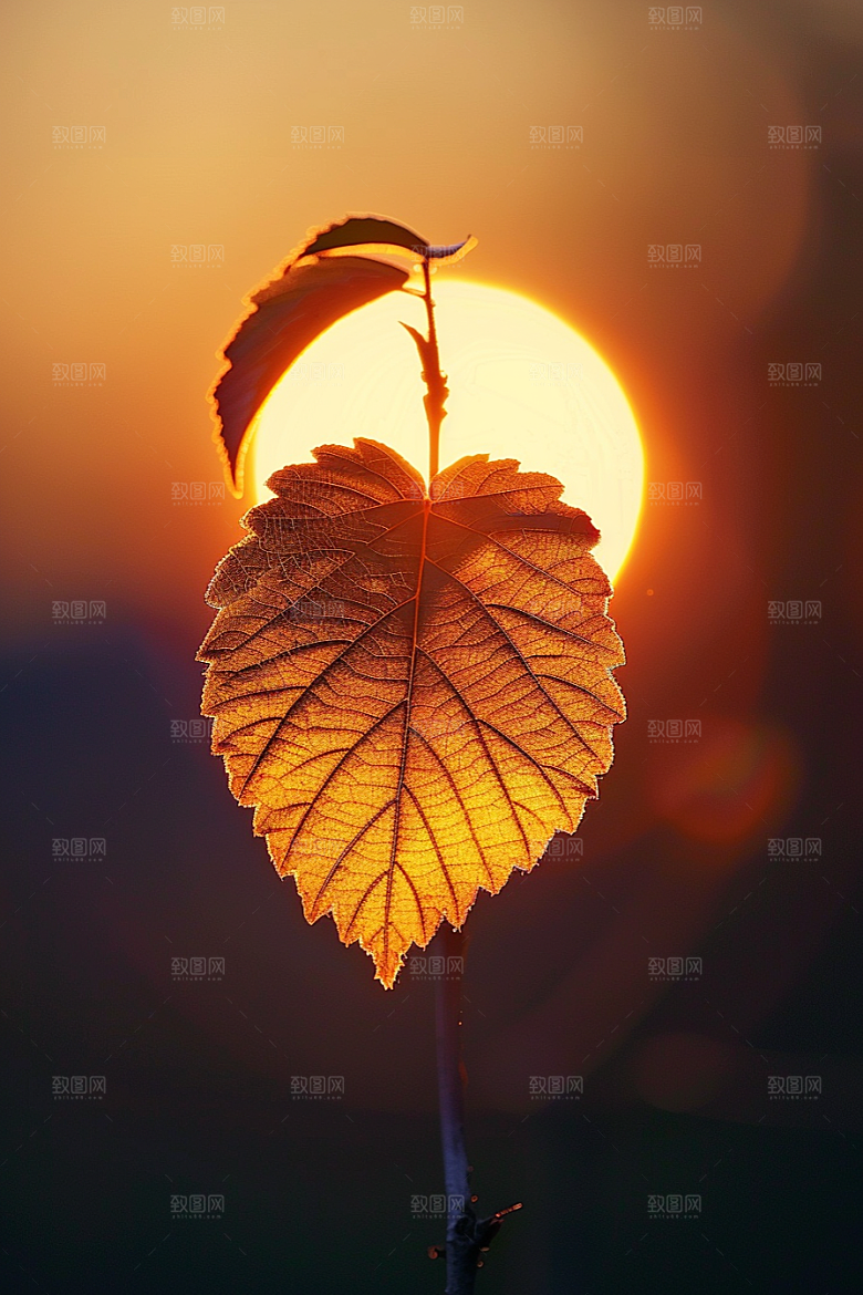 落日风光美景户外素材