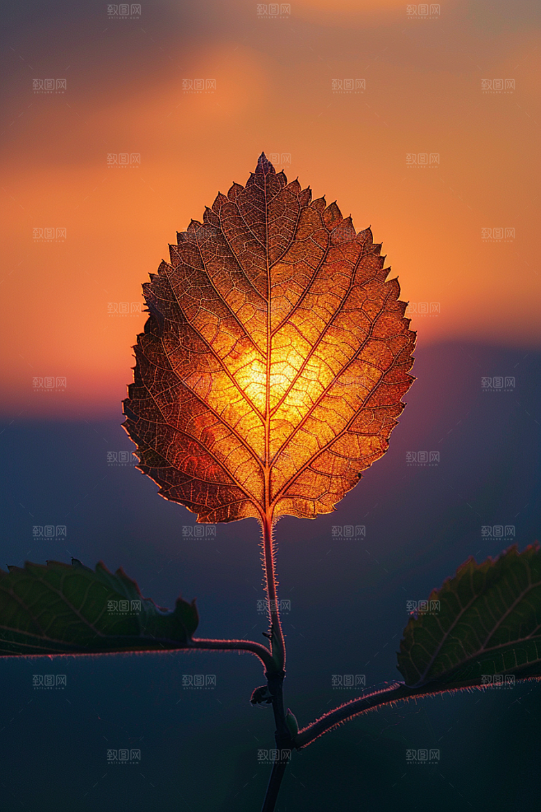 落日风光高清夕阳素材