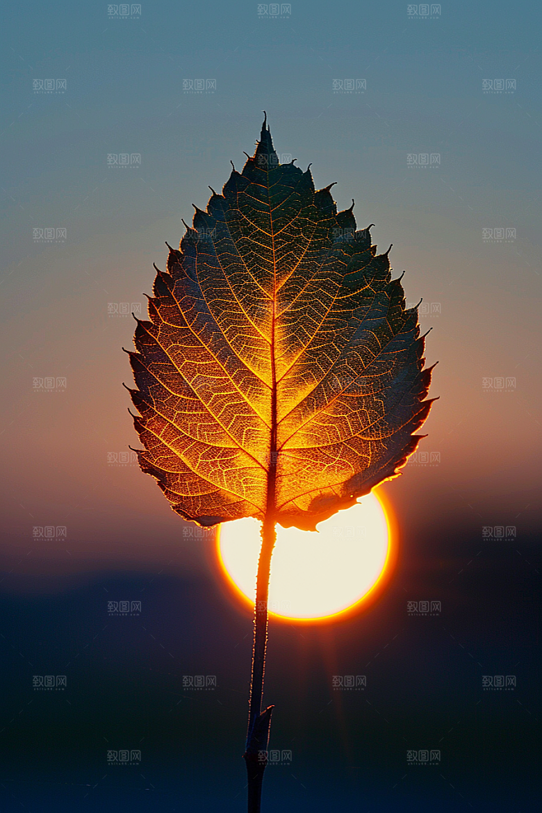 落日风光美景余晖素材