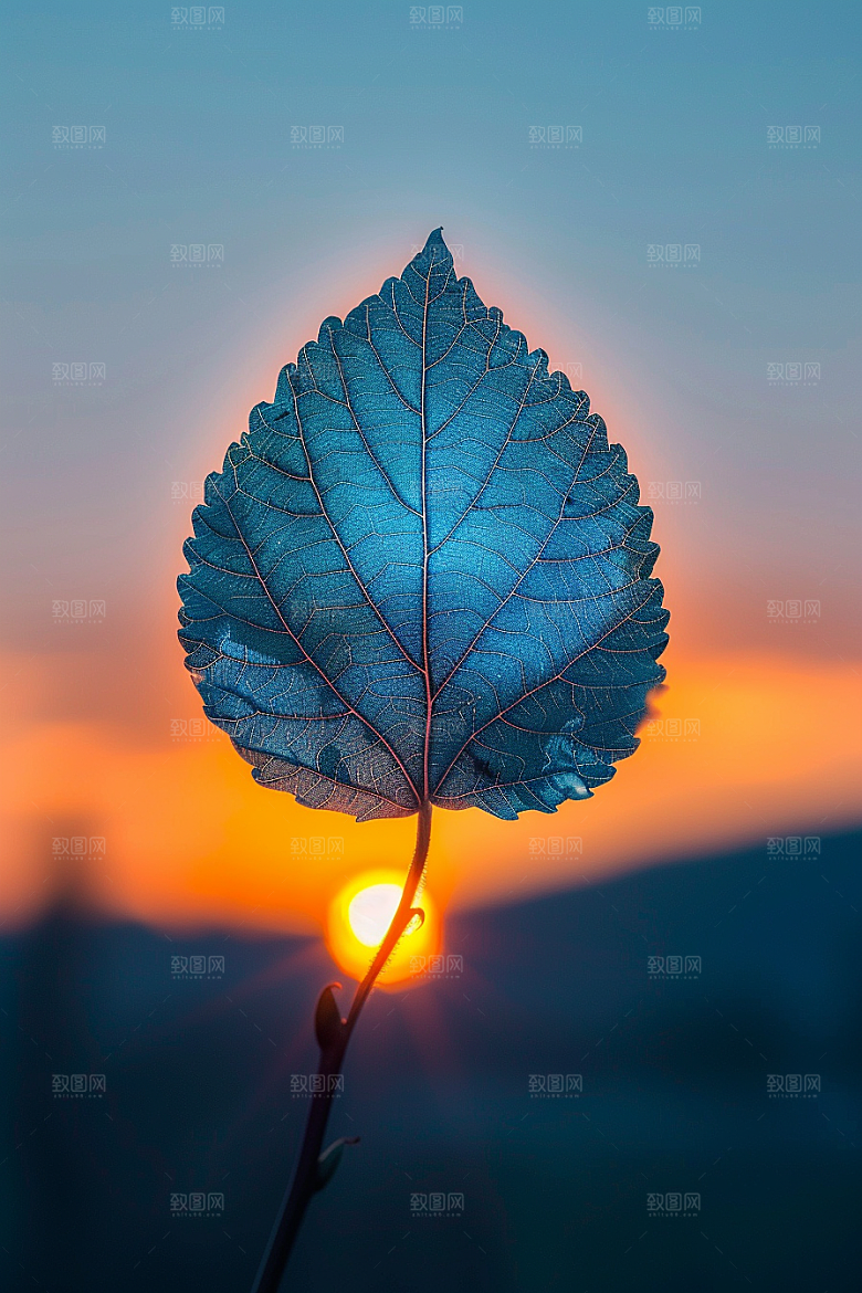 落日风光夕阳户外素材