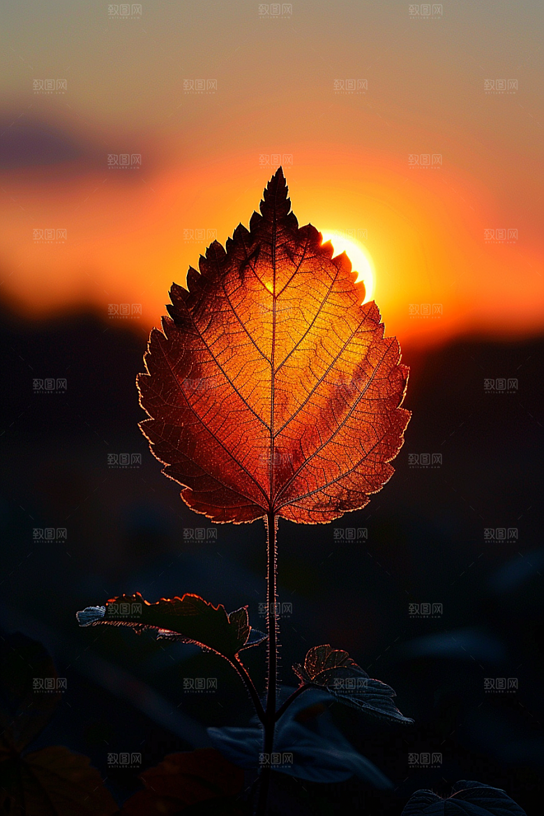落日风光傍晚风景素材