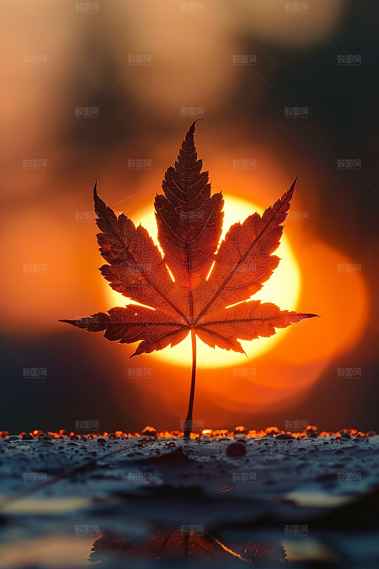 落日风光余晖傍晚素材