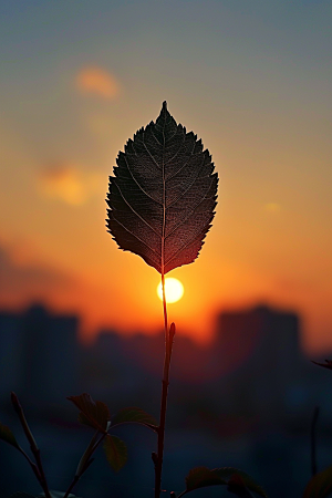 落日风光户外风景素材