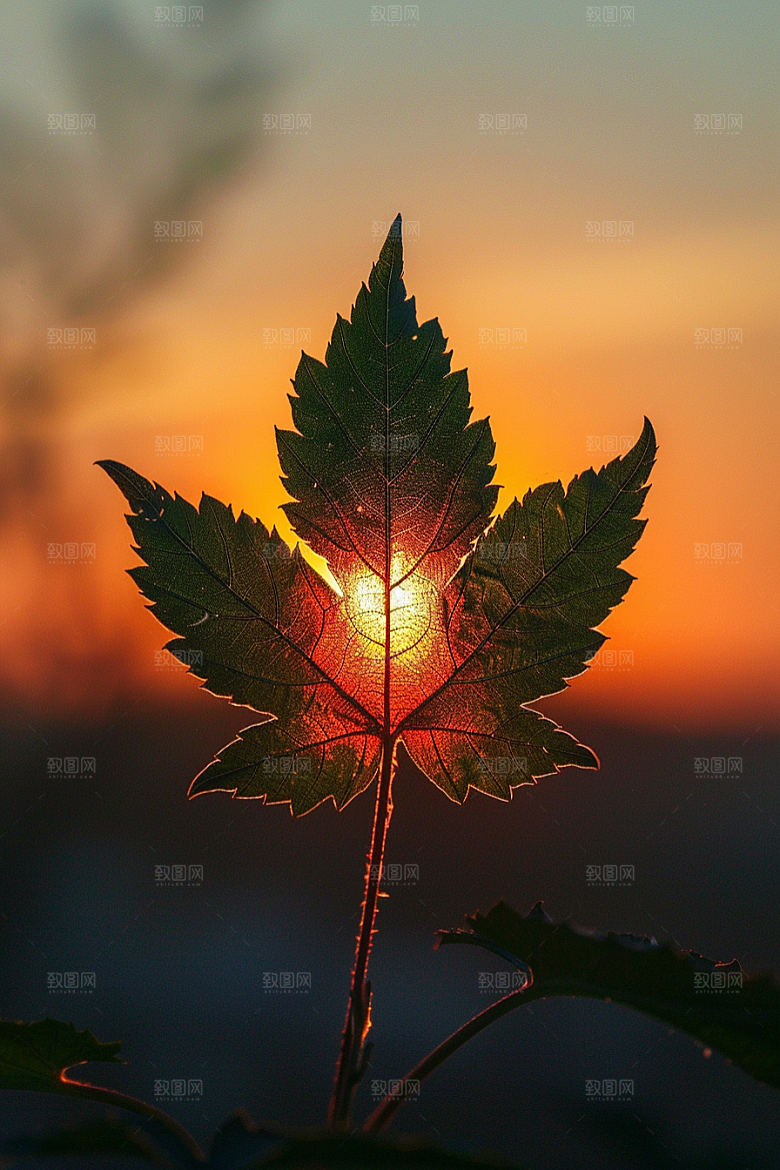 落日风光余晖高清素材