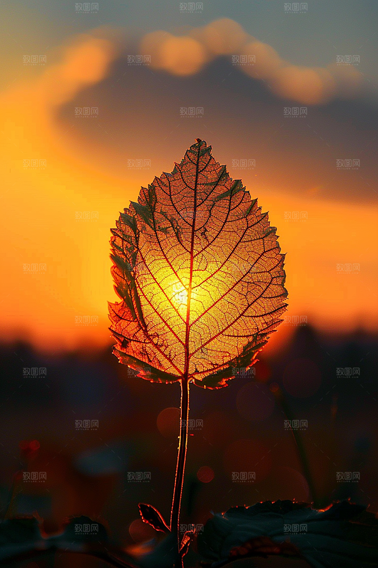 落日风光夕阳高清素材