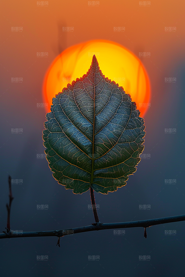 落日风光傍晚夕阳素材