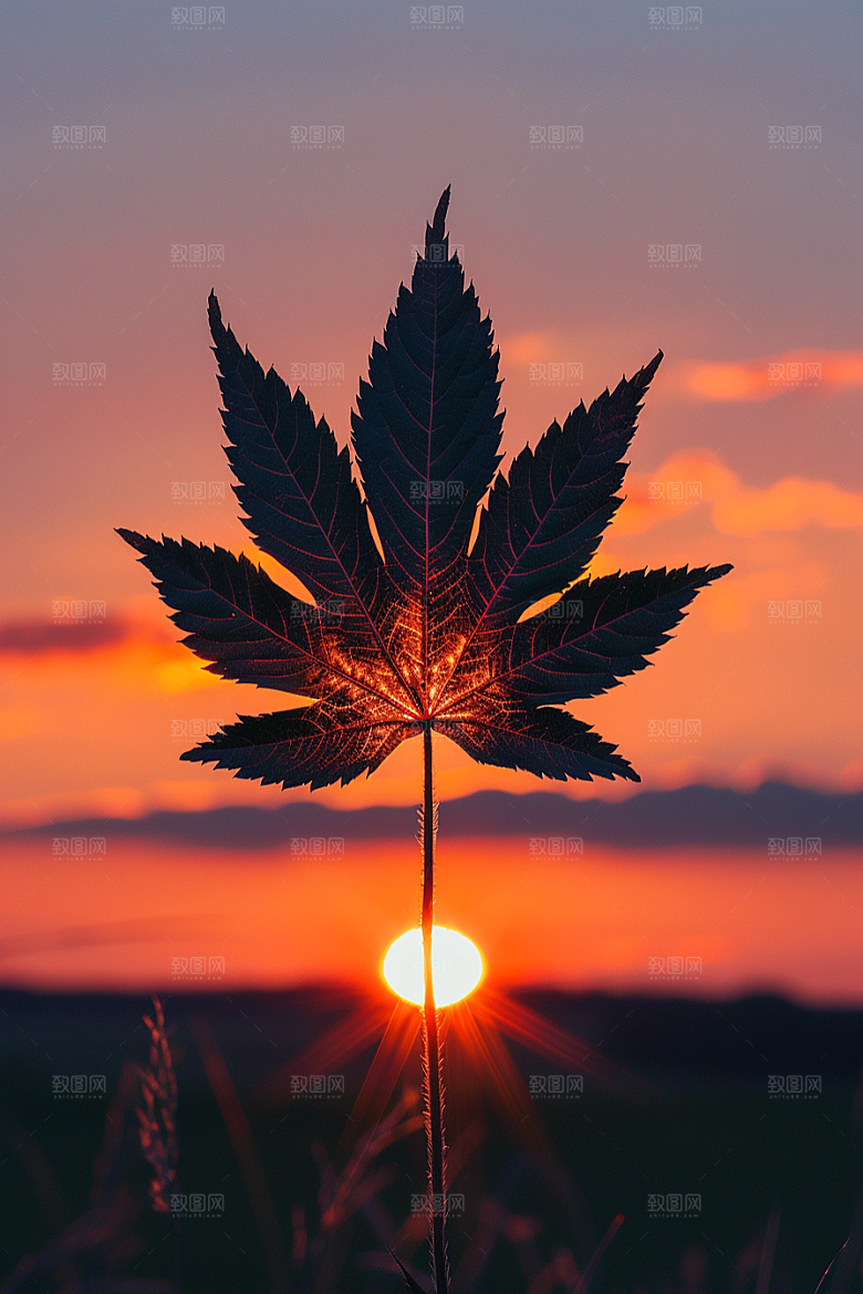 落日风光夕阳自然素材