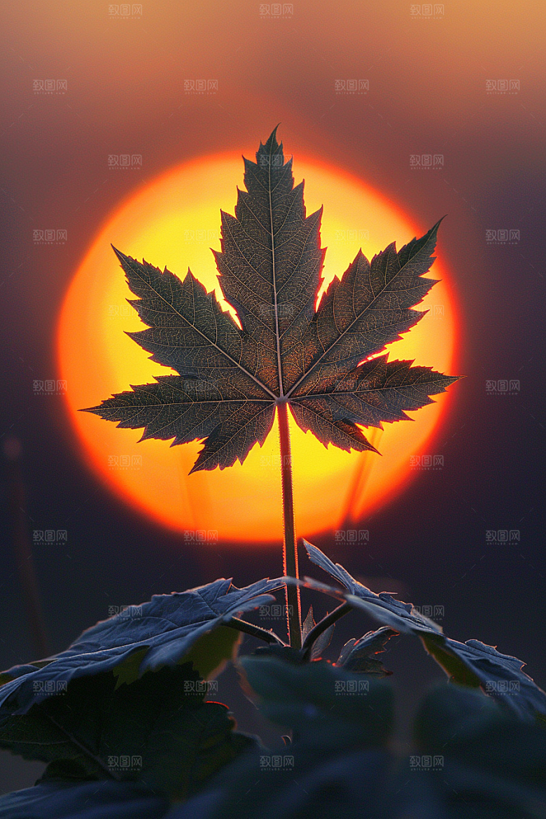 落日风光晚霞户外素材