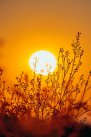 落日风光景色夕阳素材