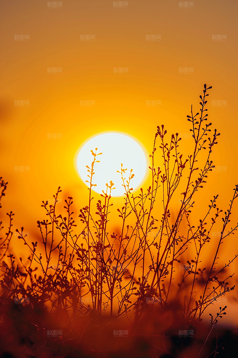 落日风光景色夕阳素材