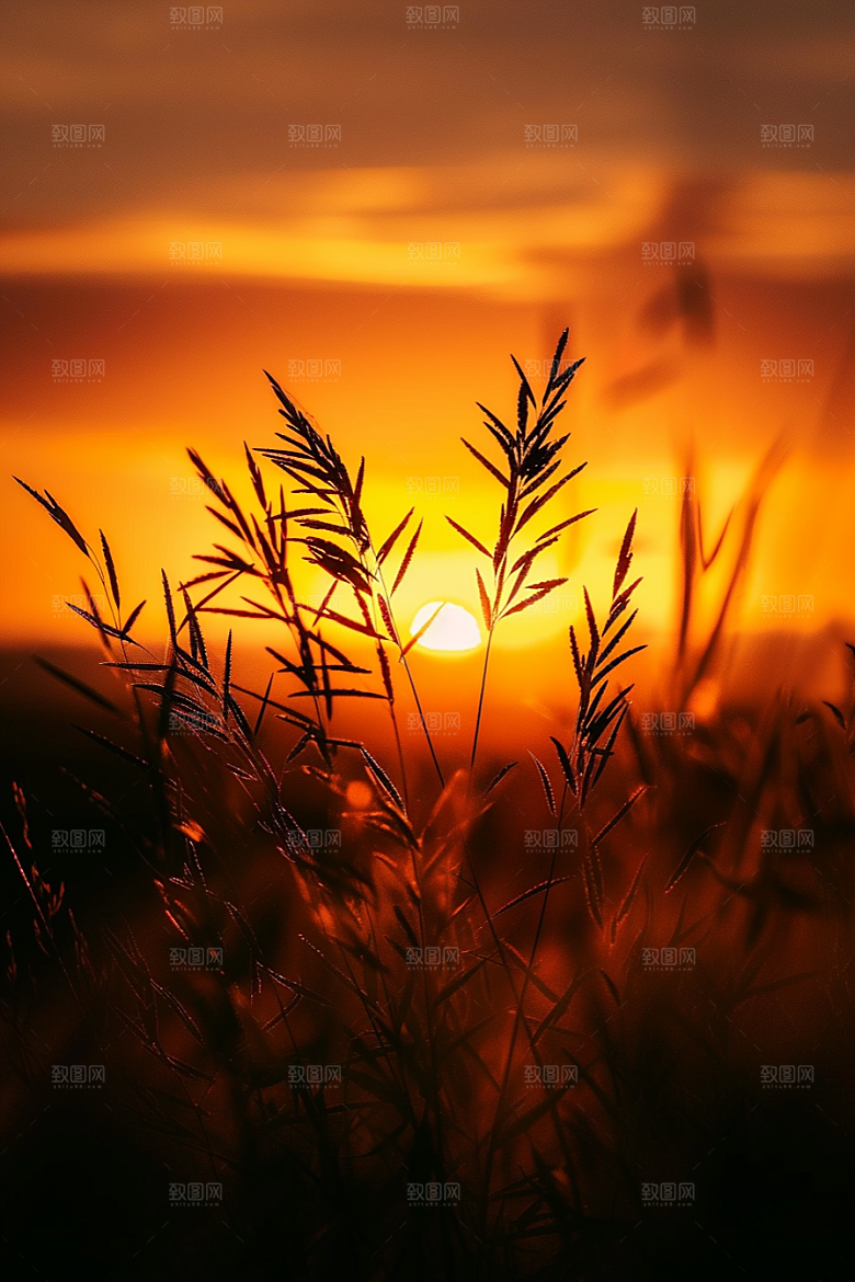 落日风光余晖景色素材