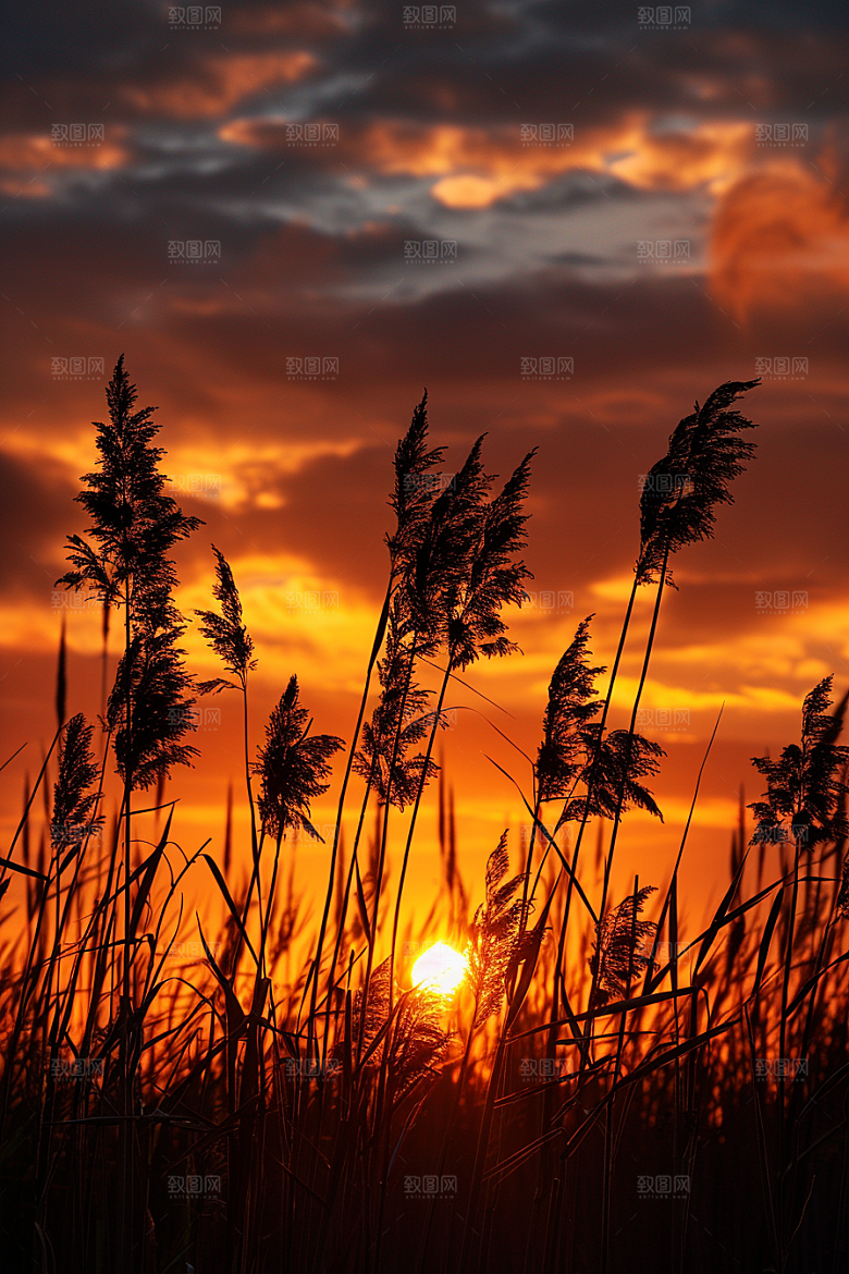 落日风光夕阳高清素材