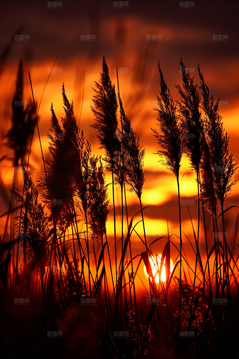 落日风光美景夕阳素材