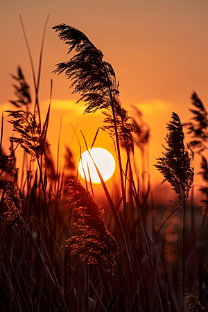 落日风光景色夕阳素材
