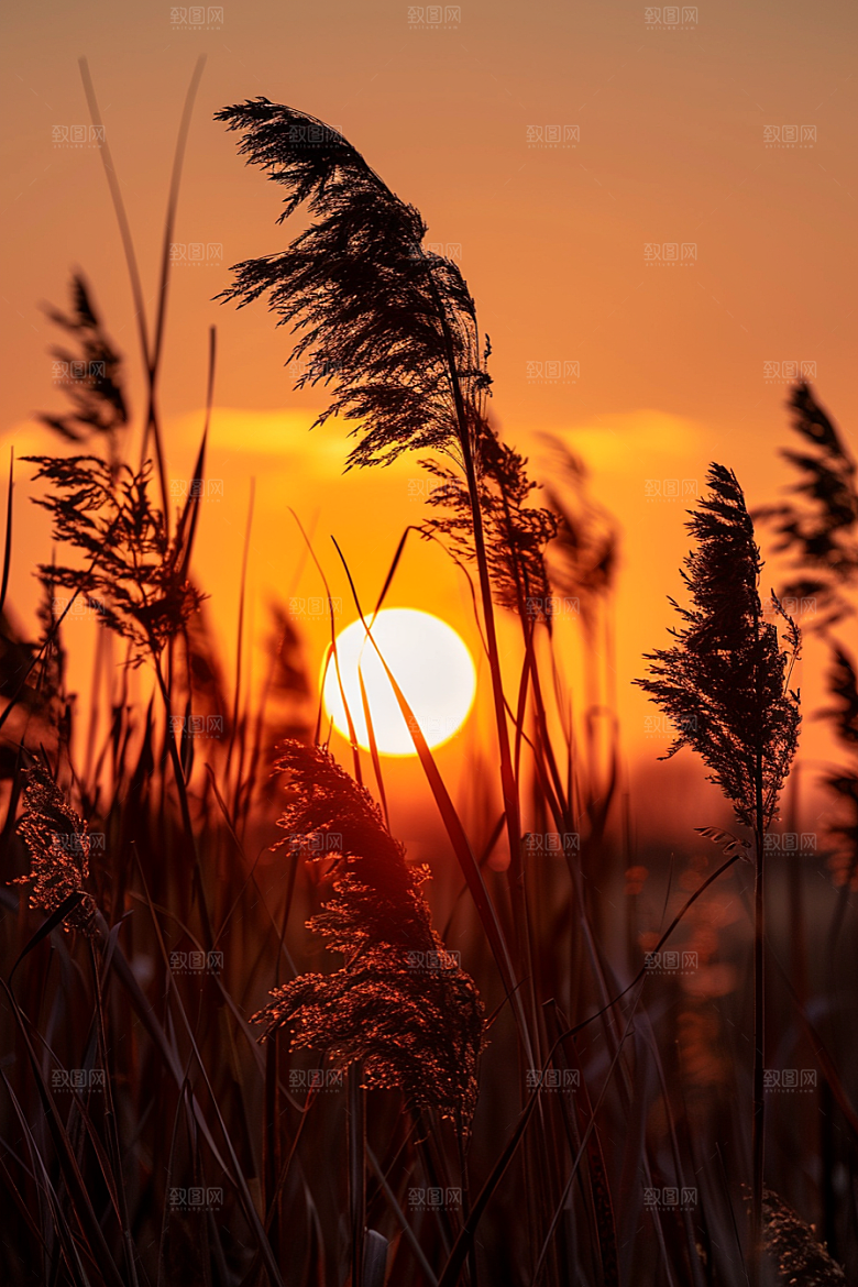 落日风光景色夕阳素材