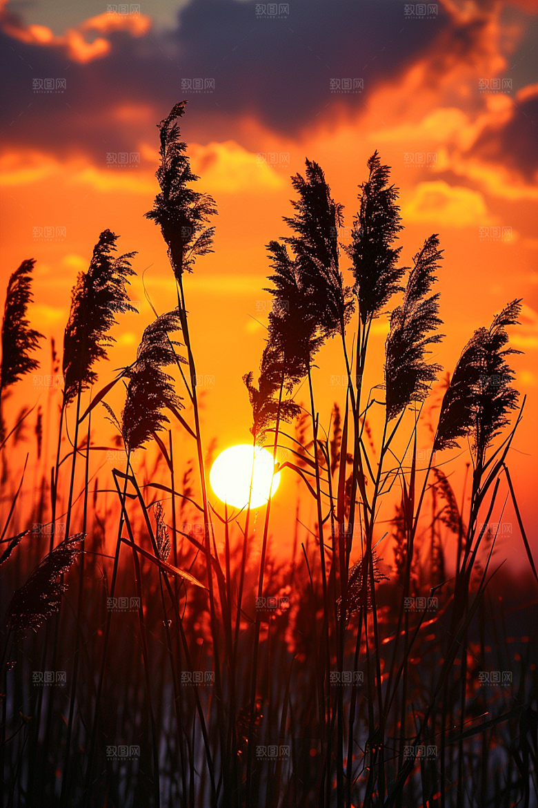 落日风光美景夕阳素材