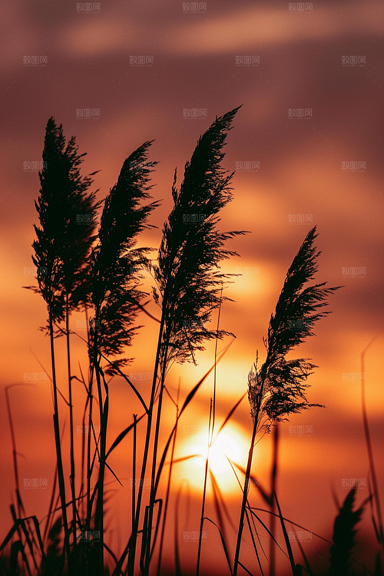 落日风光夕阳余晖素材