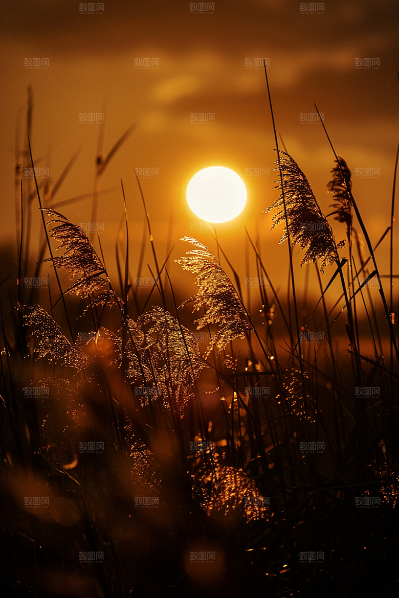 落日风光夕阳户外素材