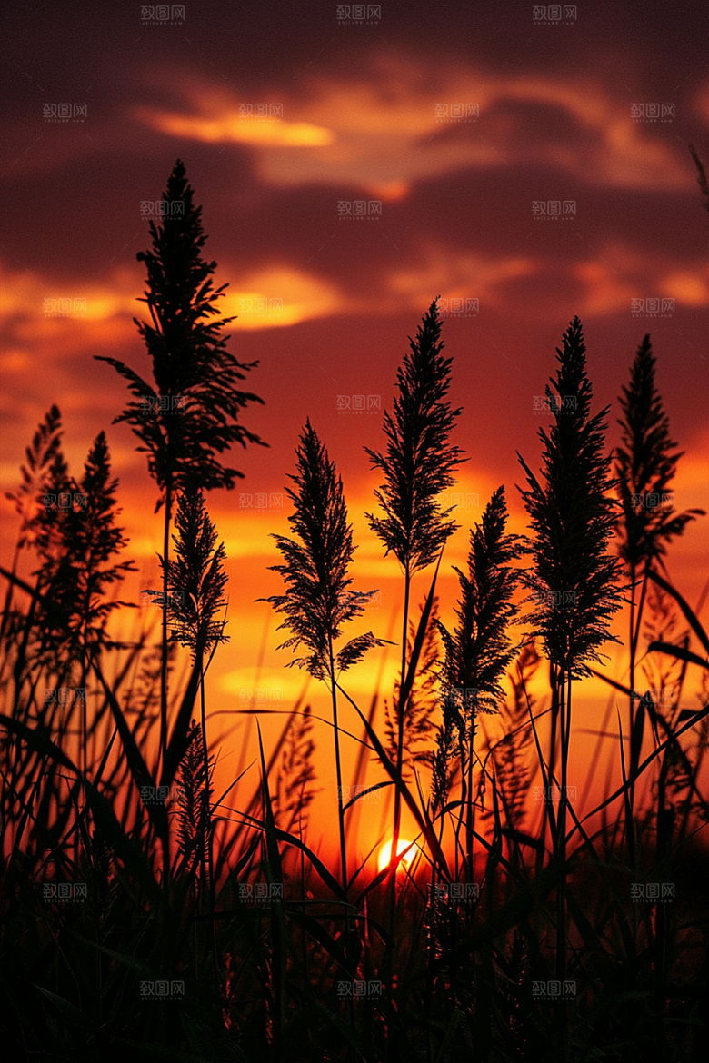 落日风光夕阳户外素材