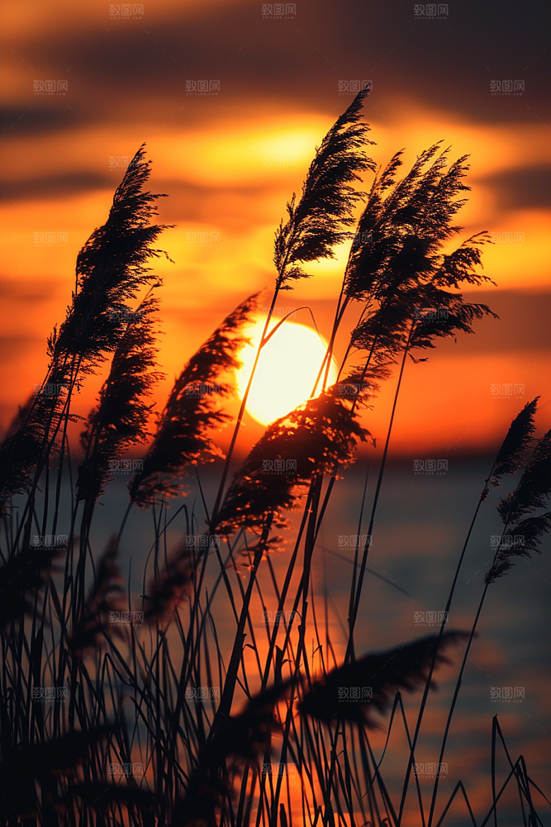 落日风光景色夕阳素材