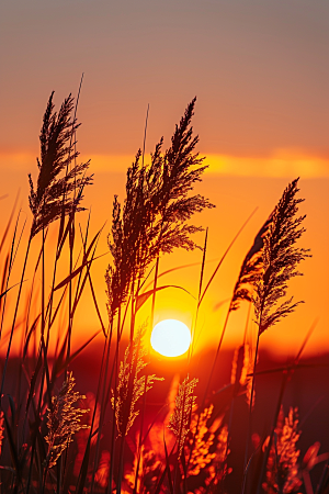 落日风光夕阳晚霞素材