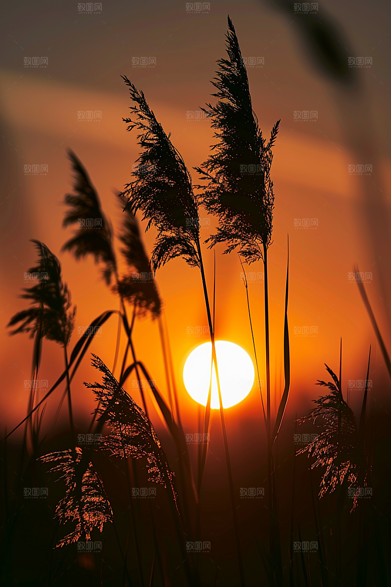 落日风光余晖风景素材