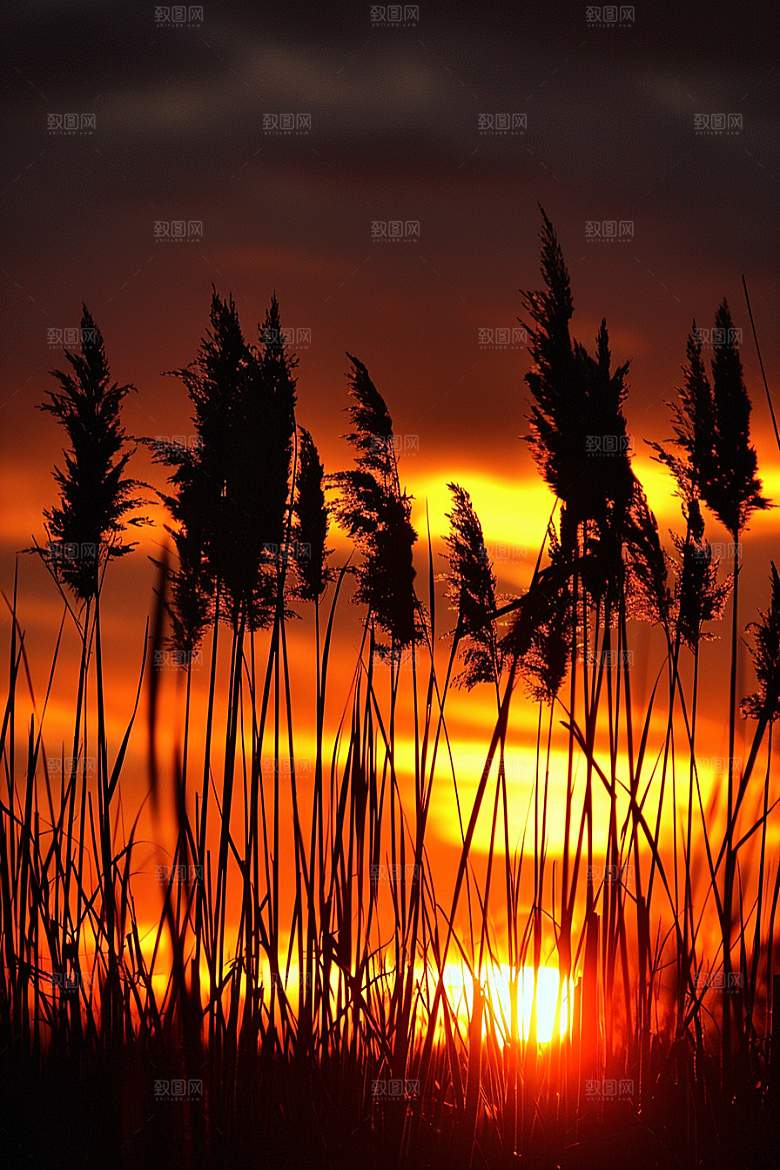 落日风光美景夕阳素材