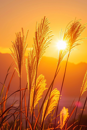 落日风光余晖夕阳素材