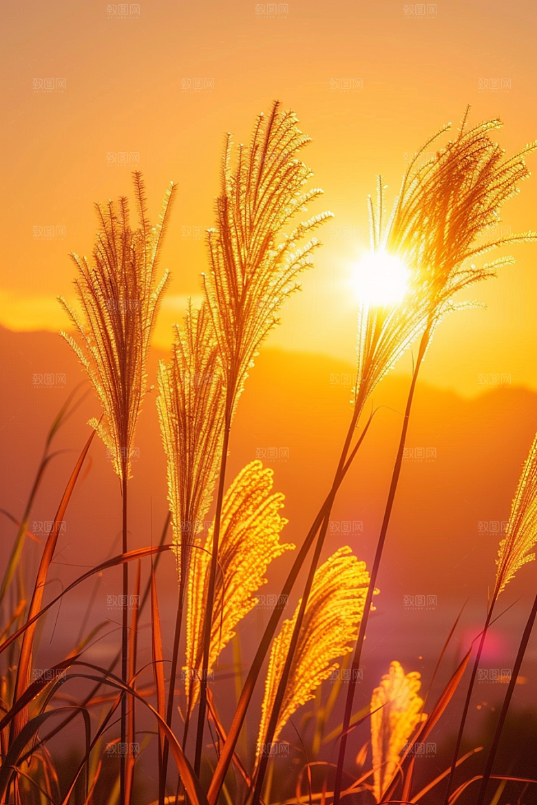 落日风光余晖夕阳素材