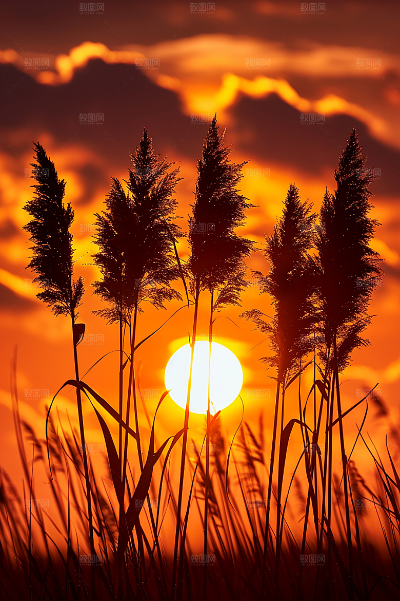 落日风光余晖夕阳素材