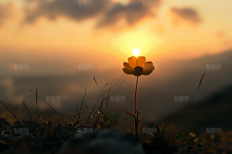 落日风光夕阳高清素材