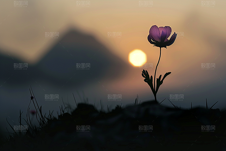 落日风光晚霞夕阳素材