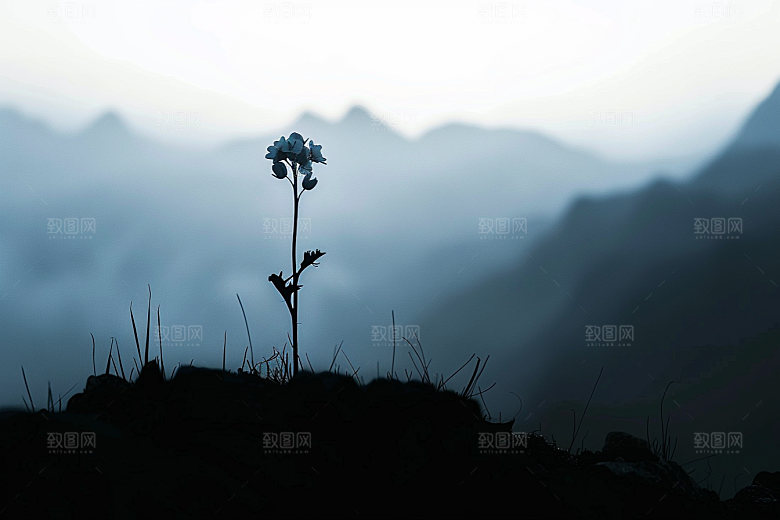 落日风光户外余晖素材